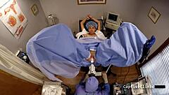 the new immigration policy featuring sandra chappelle in a detailed discussion