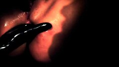 Beautiful Whore Fucked In Street