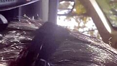 risky outdoor sex compilation with latina mommy