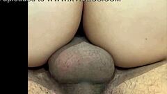 comedor destroys brazilian milf in delicious anal with huge cock