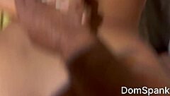 Big Ass Asian Girl Endures Painful Anal Lesson, Her Screams Echoing With Every Thrust And Fart!