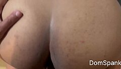 Big Ass Asian Girl Endures Painful Anal Lesson, Her Screams Echoing With Every Thrust And Fart!