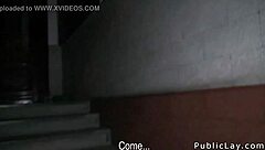 European Brunette Amateur Gets Public Pickup For Hardcore Shaved Pussy Bang