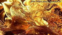 Colombian newbie Ruby Walker takes first hardcore anal fucking with gaping ass to mouth from Lancelot