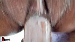 swollen pussy get pounded and drilled same time by bbc