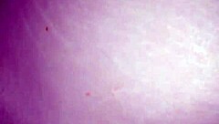 my ex's first anal try