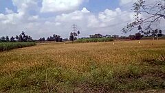 oh damn housewife flashes massive tits in rustic village home show!