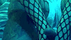 Sexy footjob nylons