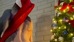 Ever tried a solo Christmas dildo session that leaves you craving more toys?