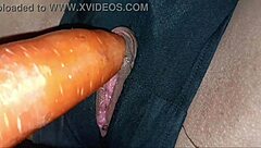 i love giving blowjobs as a busty amateur milf