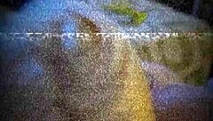 Wow, Wolfdaddy901 Gets Intense Deepthroat Blowjob From New Friend Loveylondon In Amateur Gay Action!