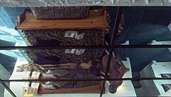 Marie Luv says she loves pleasing Sean Michaels with her shaved pussy.