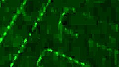 Oh man, this pregnant breedwhore is celebrating with a huge messy creampie on snap, so wild.