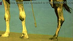 Retro hairy beaver action in vintage doggystyle from Dark Lantern Entertainment