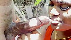 Epic king of the forest tale with bardie part 1