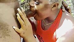 Epic king of the forest tale with bardie part 1