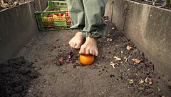 Squashing Tomatoes Barefoot In Dirty Ranch Asmr With Country Foot Fetish Teasing