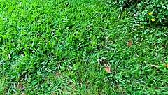 So, why not join hot encounters with the naughtiest xvideos babes like blonde milfs and brunettes in gym massages