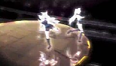 What Makes Elysia Stand Out in Honkai Impact 3 Kawaii Shorts