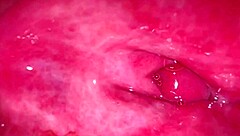 Why Tease That Amateur Pink Pussy So Wet After Virginity Loss?