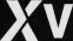 Seductive Futanari Pair Explores Massive Cock Adventures