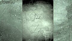 Huge Cock Pounds Mature British Pussy In Vintage Interracial Action