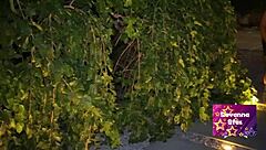 Subtle Thrill of Cheating Wife's Outdoor Encounter