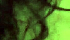 Oh Yes! Love2dou Sucks Cock Intensely for Massive Cumshot in Sensual Ball Licking Cum in Mouth Action!