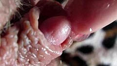 I feel my big clit pulsing in this intense orgasm closeup