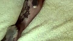 dialogic-provocative oh god, you woke me up by cumming all over my sexy ass in stockings!