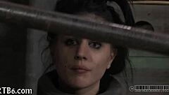 Bdsm Sex Videos That Surprise and Captivate