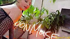 innocent liz jordan rides that big cock wildly in fishnets