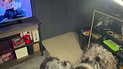 What if horny black babe Mochi G gives Richdapiper an intense bold blowjob?