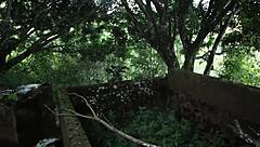 Sexy Latina With Huge Tits Gives Outdoor Blowjob To Stranger On Roadside In Public Forest Encounter