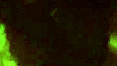 amateur milf wife delivers intense blowjob and handjob with close-up big tits action