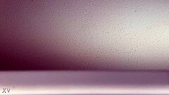 Hidden couple engages in intense fucking heard through the open window