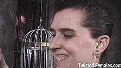 Dominant boss humiliates bitch slave with intense femdom cum instructions