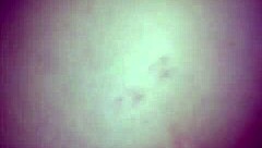 Ray N Cheyann Suck Big Cock Lingerie Dildo Toy Riding