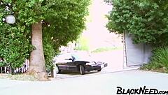 horny ebony babe licks cock for interracial rough pussy and anal fucking