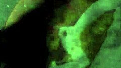 Vintage Erotic Art Reveals Hidden Desires