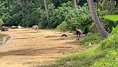Accidental homemade adventure on public beach with handjob and cumshot