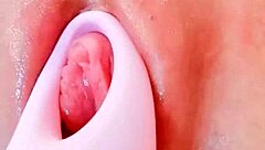 pussy teased by seductive vibrating toys