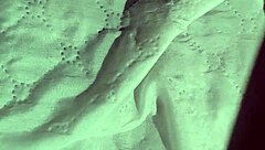 skinny black amateur flashes wet pussy and toys her natural small tits