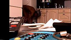 raw voyeur targets black neighbor as next spying thrill unfolds secretly