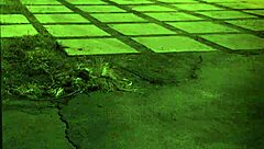 fucked outdoors unless you're from the sixties and dig that earth milf