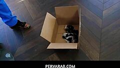 Pervarab maya bijou deepthroats double cumcockted hot muslim tits!