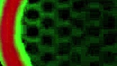 jayla diamond milks rome majors bbc insatiable