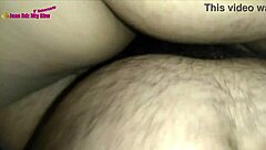 Young bull pounds milf bbw ass