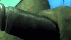 European babe strokes massive black cock hungrily