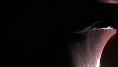 horny hotwife fucking session